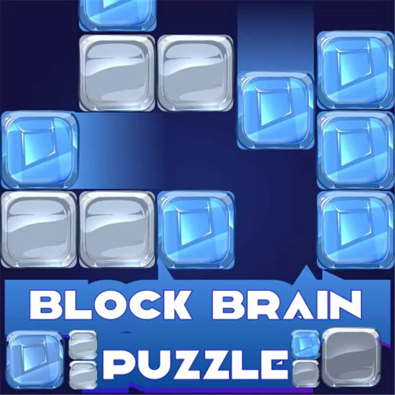 Block Brain Puzzle