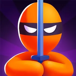 Assassin Ninja