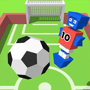 Flip Goal